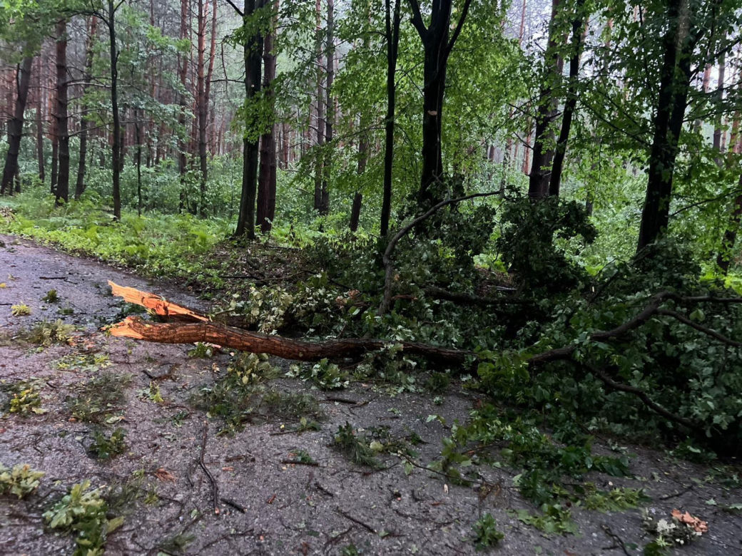 Nawałnice w Małopolsce. Setki interwencji straży pożarnej