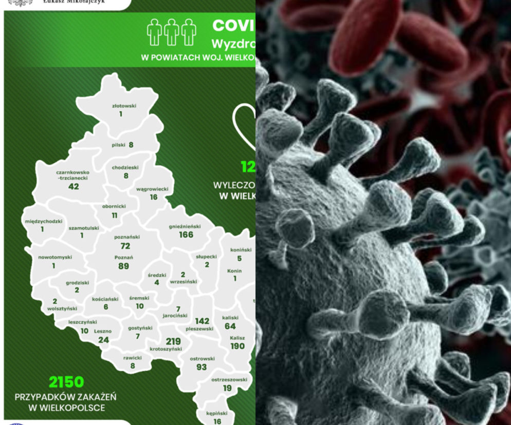 Koronawirus w Wielkopolsce. Zobacz, ile osób WYZDROWIAŁO [RAPORT]