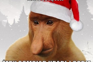 Memy na święta 2025 - zabawne obrazki, które rozbawią wszystkich przy stole!