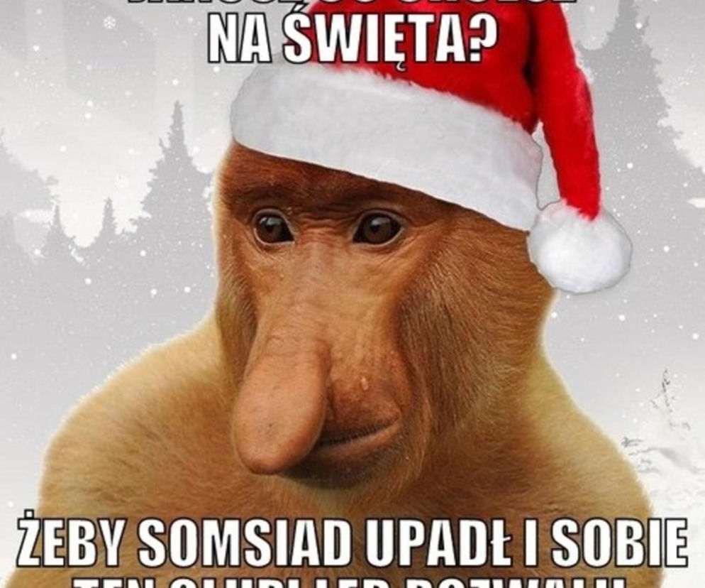 Śmieszne obrazki, które rozbawią każdego