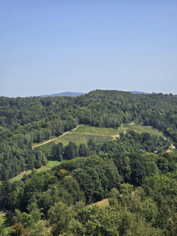 Wyjątkowa atrakcja turystyczna w Małopolsce. To stare zamczysko nad Dunajcem
