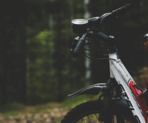 Rowerem po czysty las. Stowarzyszenie MTB Wzgórza Piastowskie w akcji 