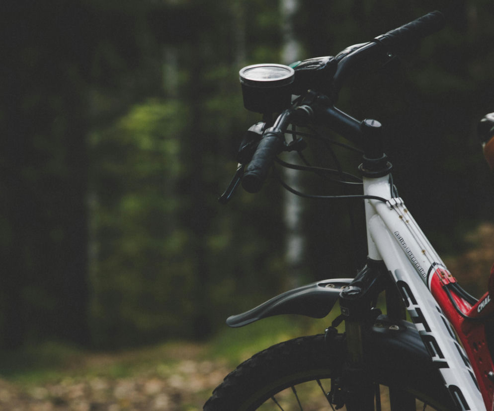 Rowerem po czysty las. Stowarzyszenie MTB Wzgórza Piastowskie w akcji 