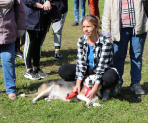 IX Piknik Przyjaciół Schroniska w Toruniu