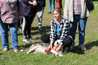Rekordowa kwota zebrana podczas IX Pikniku Przyjaciół Schroniska. Tak bawili się dwu i czworonodzy w Psim Parku w Toruniu [GALERIA]