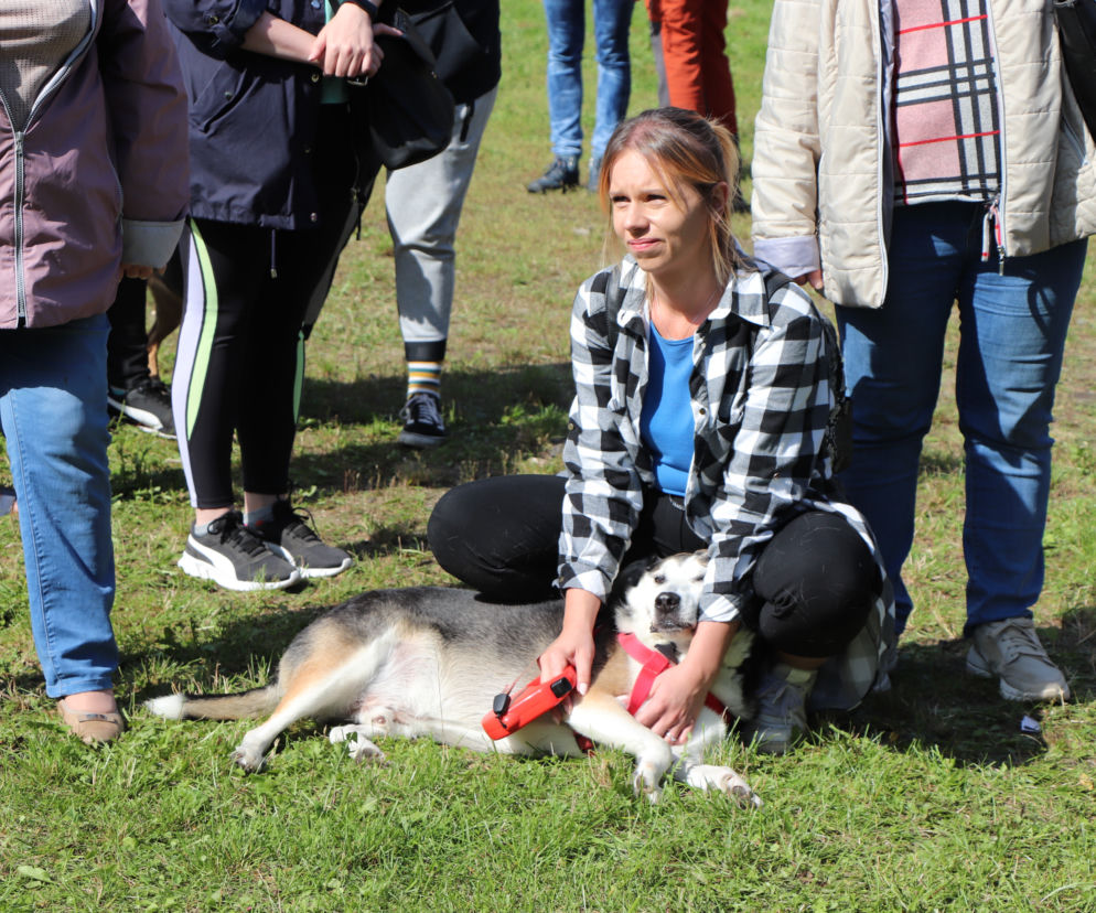 Kobieta w koszuli w kratę głaszcze leżącego na trawie psa. O pikniku dla seniorów zwierząt pisze Eska Toruń.