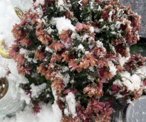 Tak wygląda grób Krzysztofa z Rolnik szuka żony