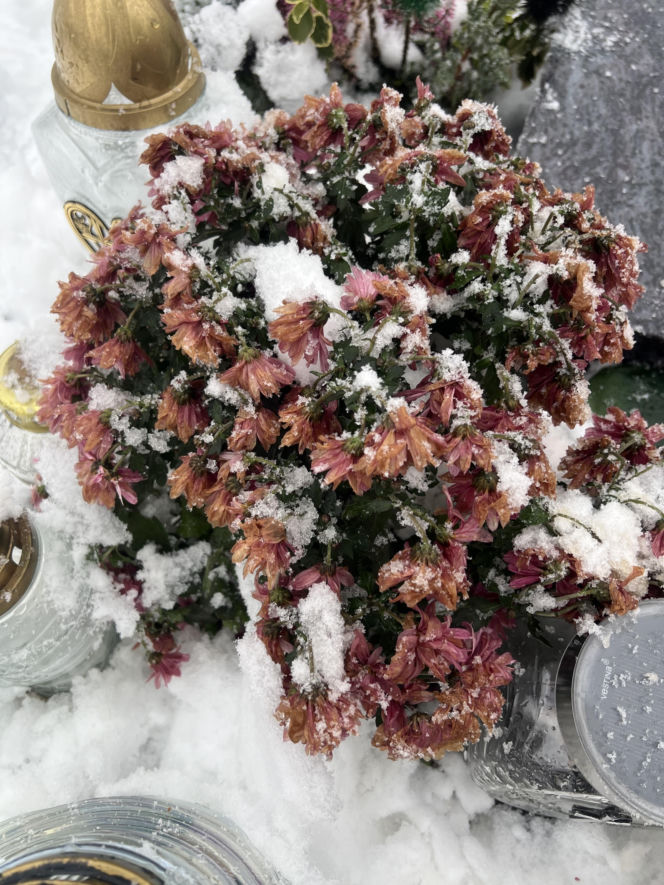 Tak wygląda grób Krzysztofa z "Rolnik szuka żony"