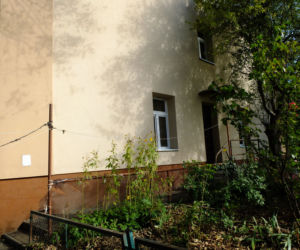 Zabił, bo miał żal o matkę