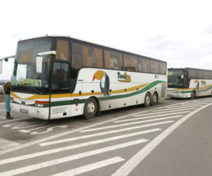 Uciekły z Ukrainy, znalazły spokój w Polsce 