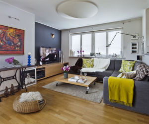 salon z kuchnią