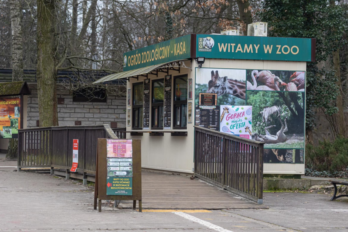 Zatrzymanie Ewy Z. - dyrektorki zoo w Poznaniu