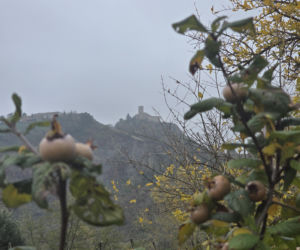 Piadina romagnola - duma regionu Emilia-Romania. Spotkanie z włoską tradycją w wiosce Montetiffi