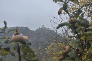 Piadina romagnola - duma regionu Emilia-Romania. Spotkanie z włoską tradycją w wiosce Montetiffi