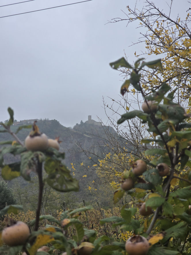 Piadina romagnola - duma regionu Emilia-Romania. Spotkanie z włoską tradycją w wiosce Montetiffi