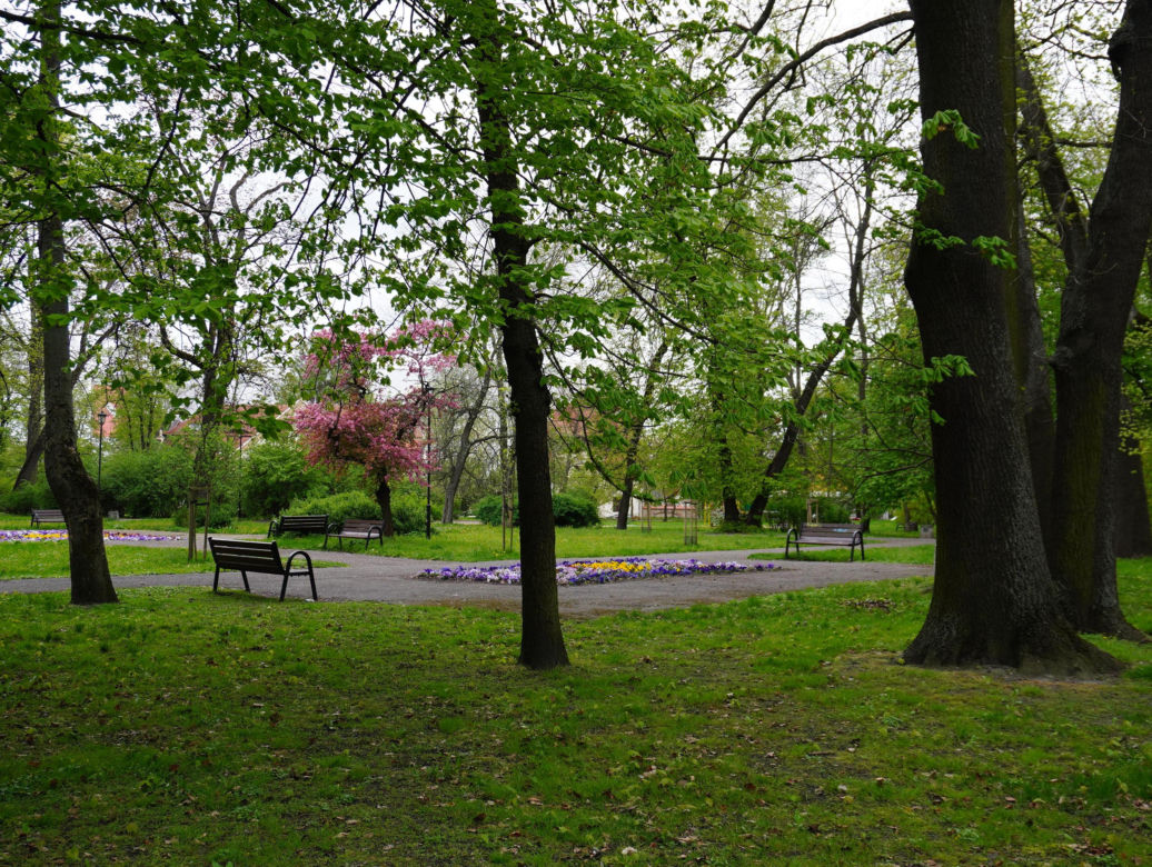 Park Bronowice wiosną 2024