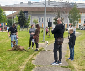 Pies, Sport i Ty - 2022
