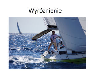 Wyróżnienie - Piotr Smulski