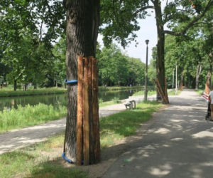 Kanał Bydgoski na Miedzyniu i Flisach czeka remont