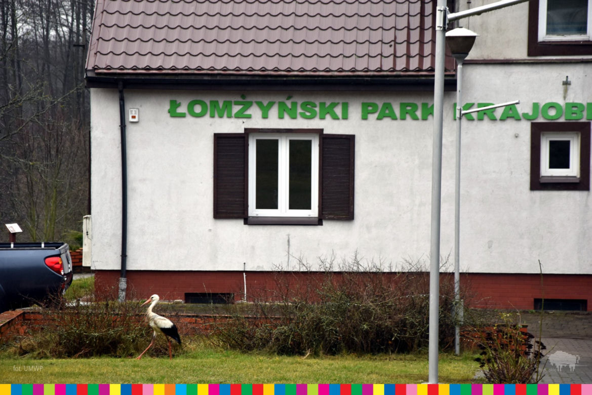 Szpital dla zwierząt i wieża widokowa