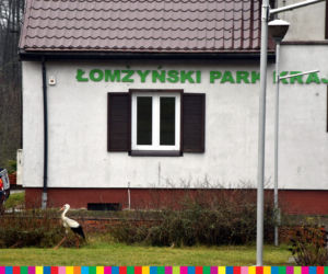 Szpital dla zwierząt i wieża widokowa