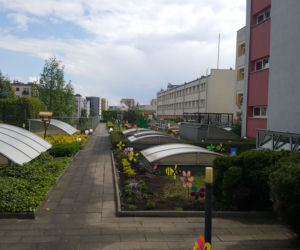 Zaczarowany ogród w Bydgoszczy