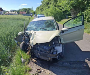 Ford uderzył w drzewo. Kierowca zmarł po przewiezieniu do szpitala