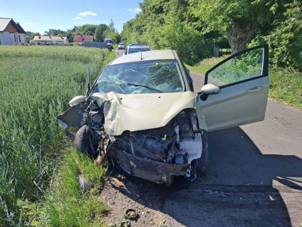 Ford uderzył w drzewo. Kierowca zmarł po przewiezieniu do szpitala