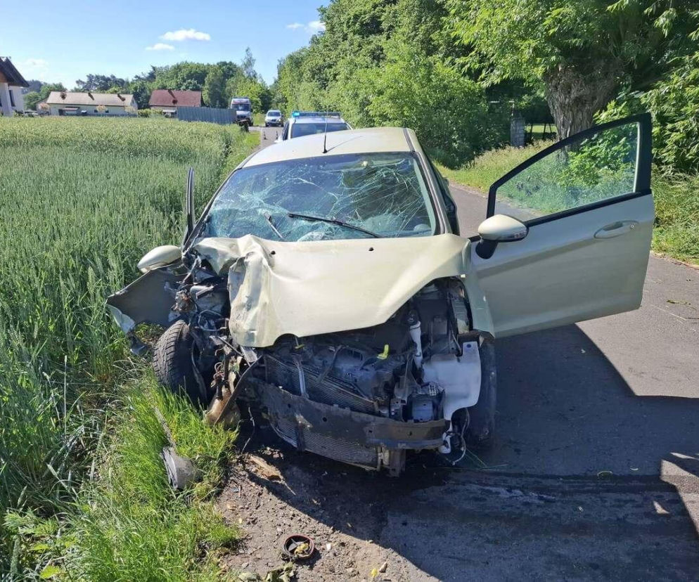 Ford uderzył w drzewo. Kierowca zmarł po przewiezieniu do szpitala
