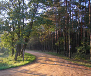 Gdzie można iść na spacer z dziećmi w majówkę?