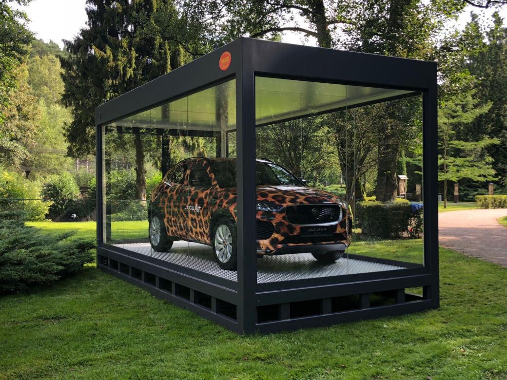 Jaguar w gdańskim zoo [ZDJĘCIA]