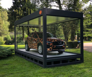 Jaguar w gdańskim zoo [ZDJĘCIA]