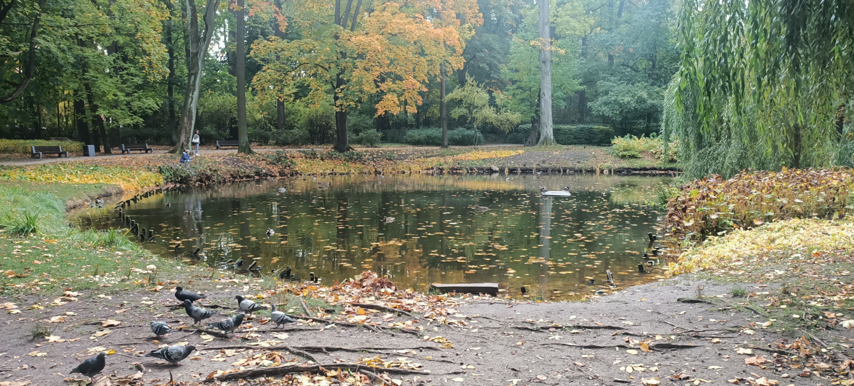 Park Planty