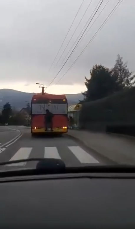 Bielsko-Biała. Jechał na zderzaku autobusu! To nagranie jest hitem [ZDJĘCIA]