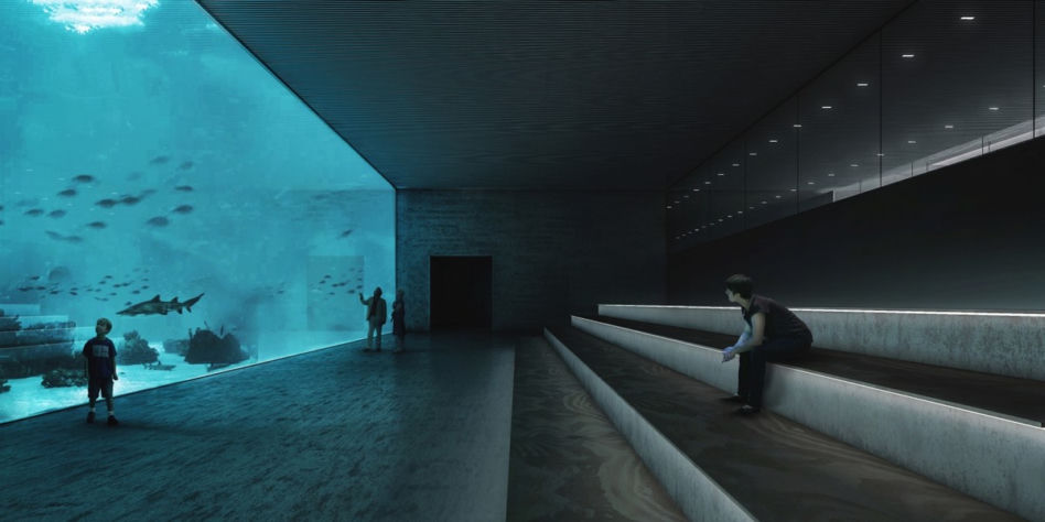 RENDER_6 (Copy)