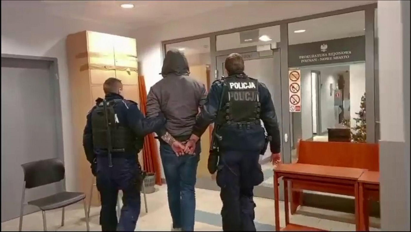 Aresztowani, którzy porwali i pobili strusia Zenka