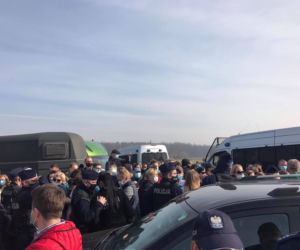 Wielka licytacja koni pod Łodzią zatrzymana przez... sanepid! Na miejscu policja i wściekli kupujący