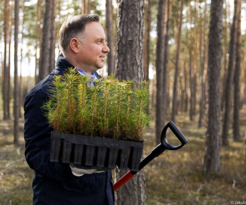 Andrzej Duda zasadził drzewa