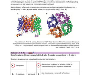 Matura próbna 2026 - biologia. Wszystkie odpowiedzi do arkusza CKE z biologii 14.01.2026