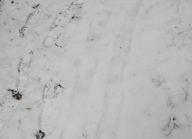 76-latek przeszedł w śniegu 22 kilometry. Ratunek przyszedł w ostatniej chwili