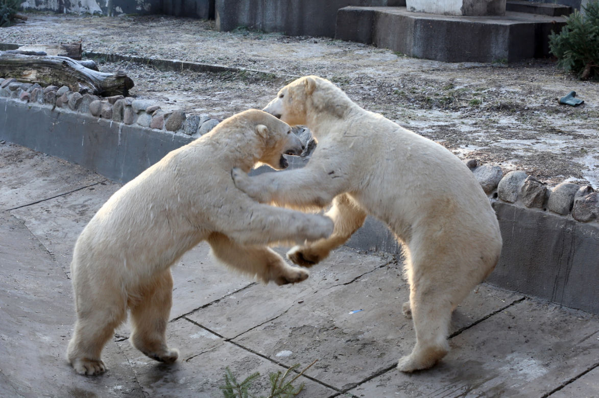 ZOO w Warszawie