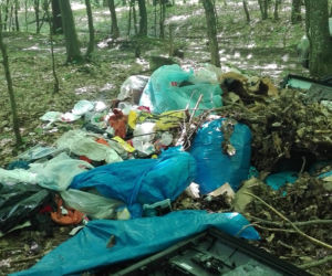 Ministerstwo Środowiska planuje zwiększyć kary za zaśmiecanie lasów z 500 do 5 tys. zł