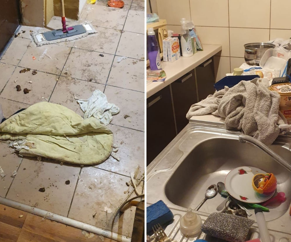 Piła: Dziecko 18-latki żyło wśród PSICH ODCHODÓW i starych pieluch