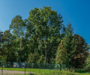 To jedna z najciekawszych małopolskich wsi. Jej mieszkańcy modlą się do świętego męczennika