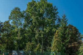 To jedna z najciekawszych małopolskich wsi. Jej mieszkańcy modlą się do świętego męczennika