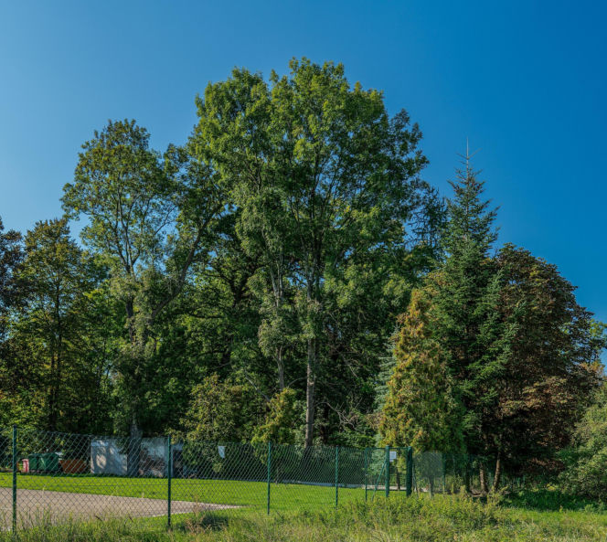 To jedna z najciekawszych małopolskich wsi. Jej mieszkańcy modlą się do świętego męczennika