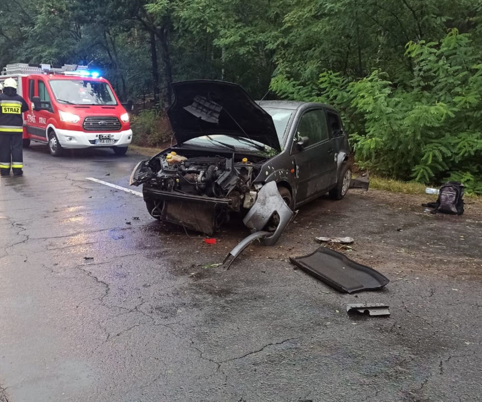 Wypadek w powiecie rawickim. 19-letni kierowca wypadł z samochodu do wpadnięciu do rowu