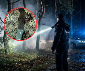 Zwabili dzieci do lasu i urządzili im piekło. Wszystko nagrali