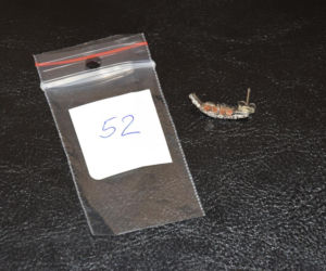 Rozpoznajesz te błyskotki? Policja poszukuje właścicieli bizuterii i kosztowności