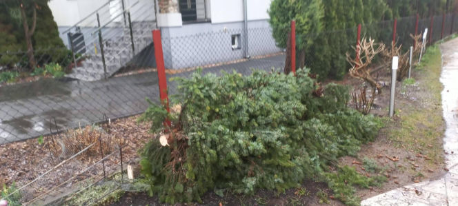 Powiat siedlecki: liczne interwencje strażaków w związku z wichurą